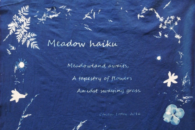 meadow-haiku